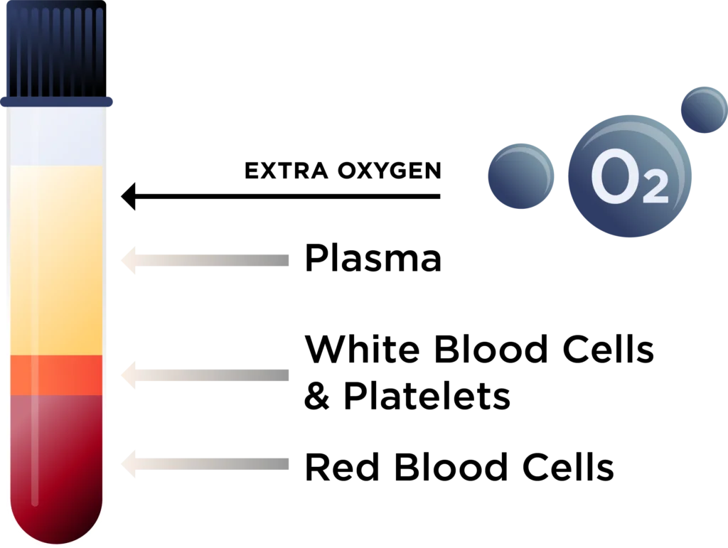How HBOT works diagram showing oxygen absorption into plasma, white blood cells, and red blood cells